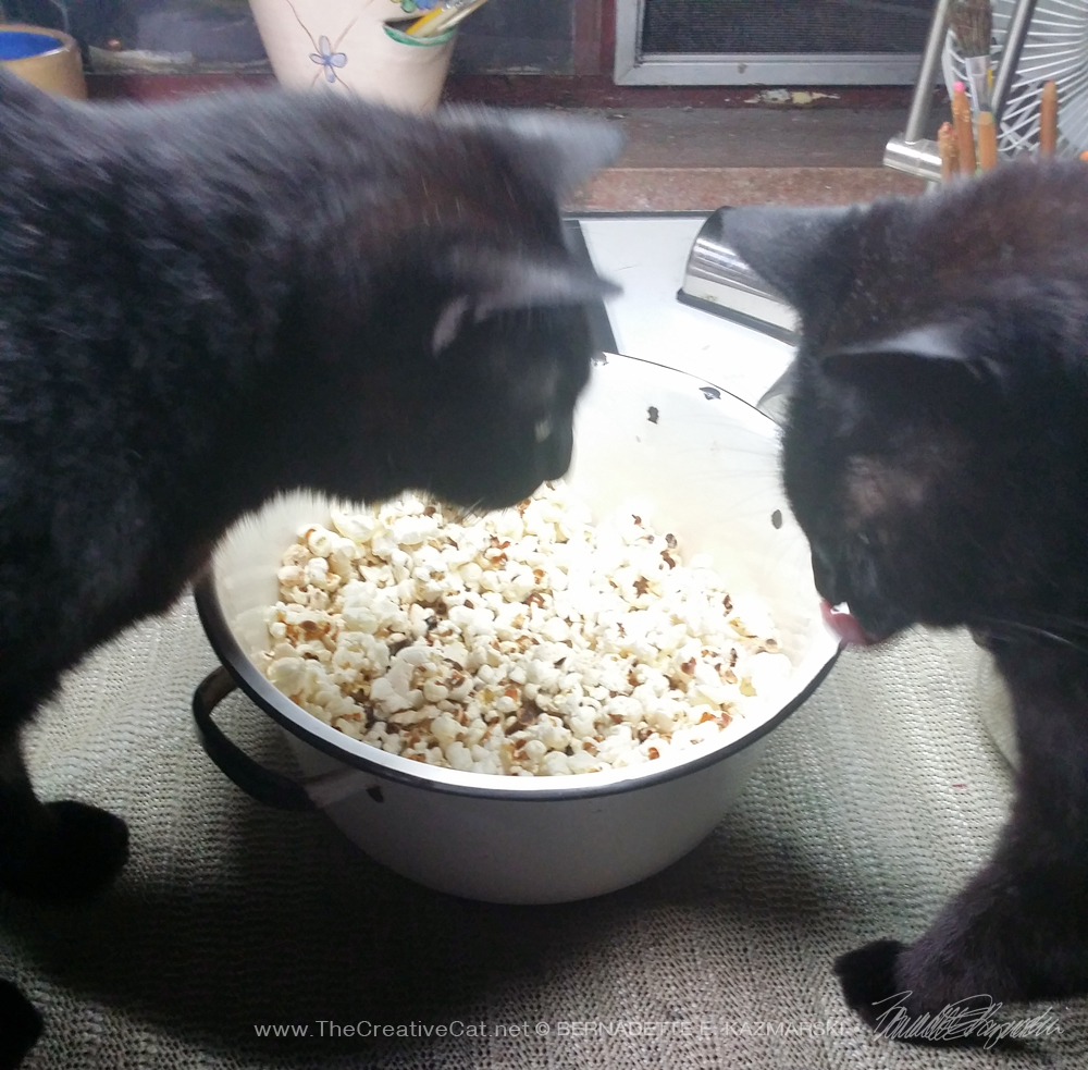 two black cats with popcorn