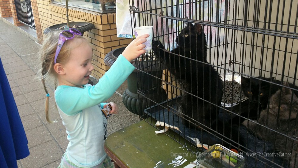 This little girl always wanted a black kitty, and Simon took to her right away!