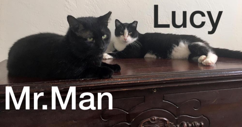 Mr. Man and Lucy