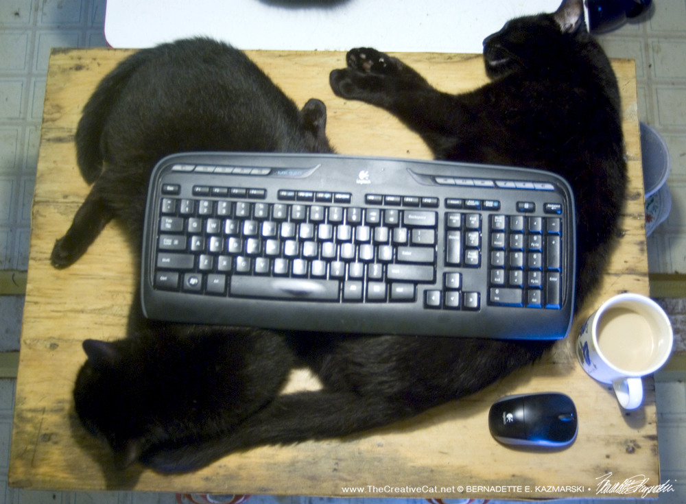  Top view of Black Cat Keyboard Rest.