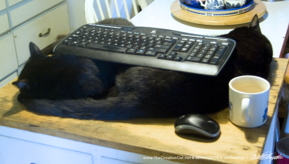 Black Cat Keyboard Rest!