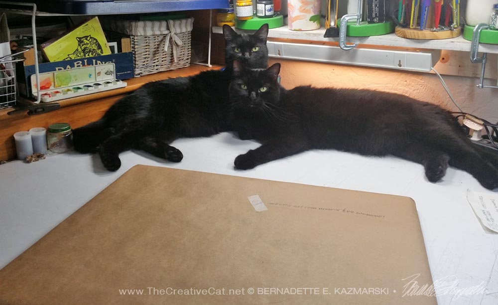 two black cats with package