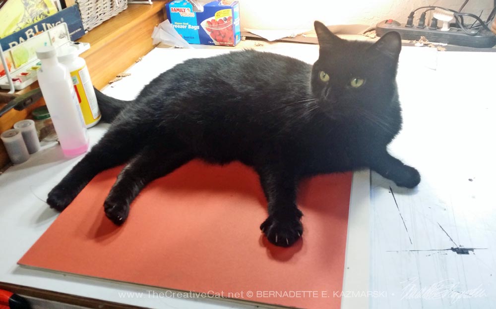black cat on mat board