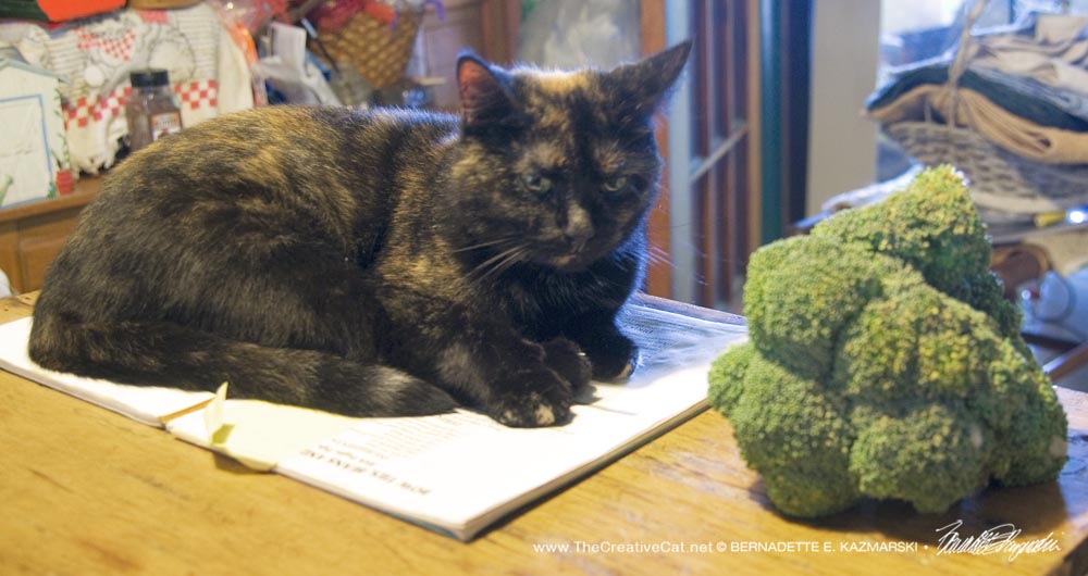 tortoiseshell cat with broccoli