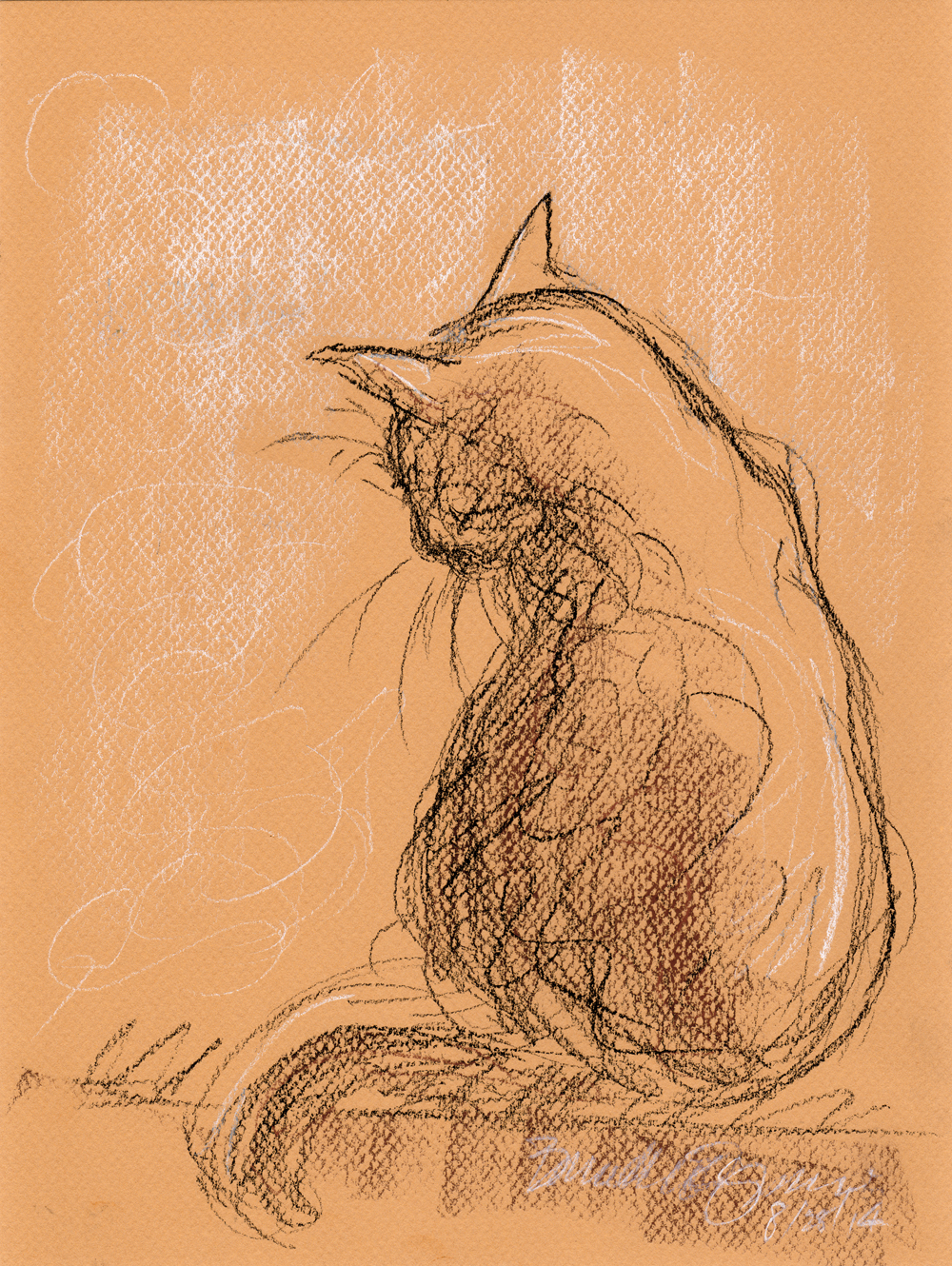 conte crayon sketch of cat bathing