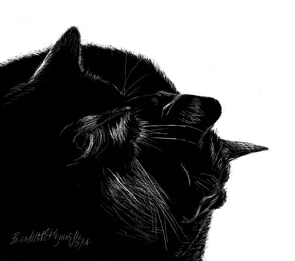 scratchboard of two black cats