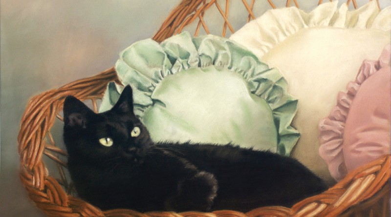 pastel portrait of black cat