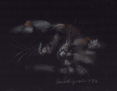 pastel sketch of two cats sleeping