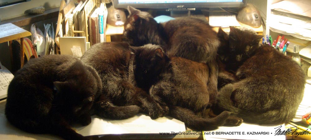  A Pile of Cats