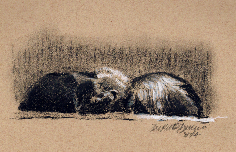 charcoal sketch of two black cats asleep