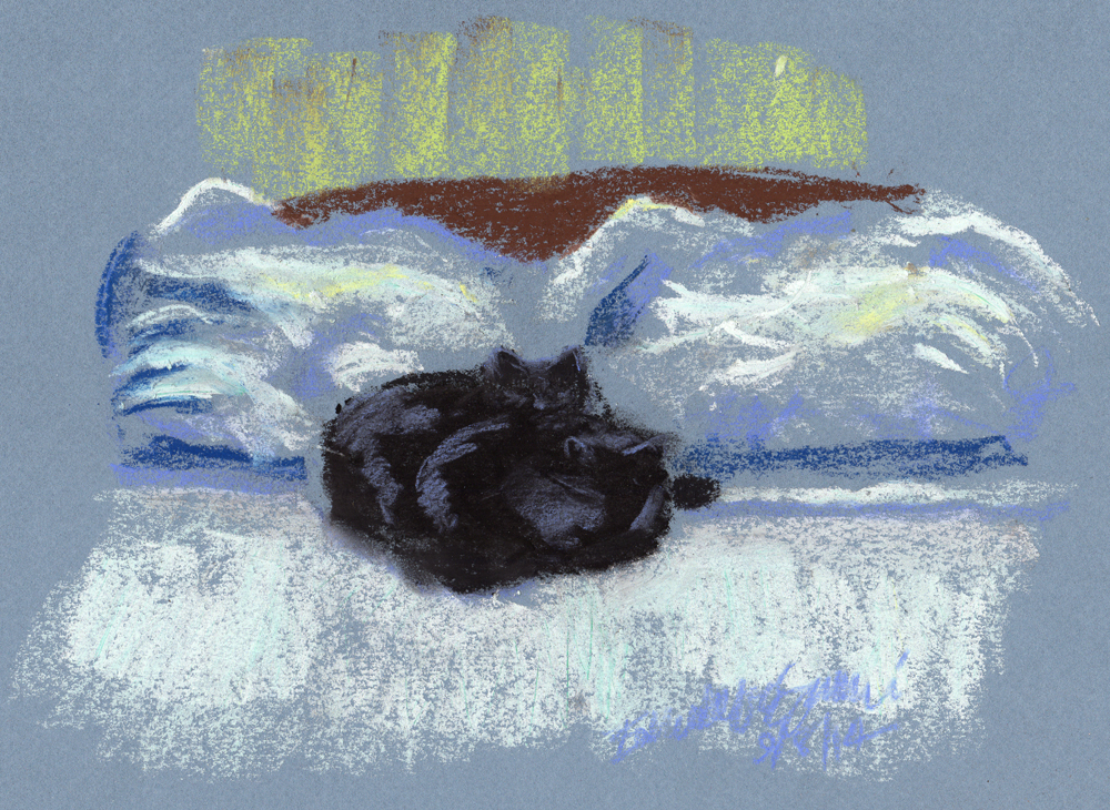two black cats on bed