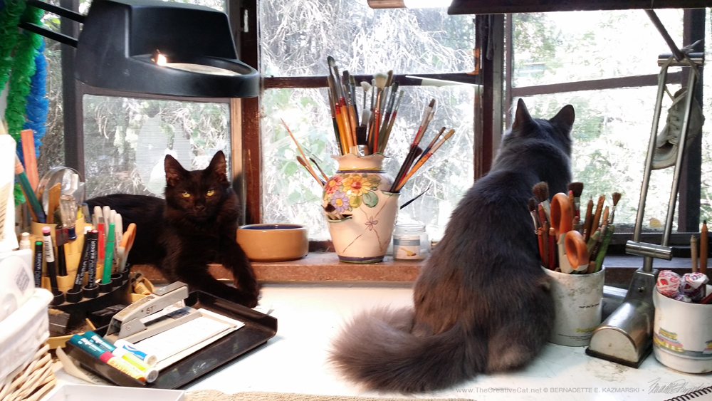 Simon watches me while Teddy Bear watches birds in the spruce.