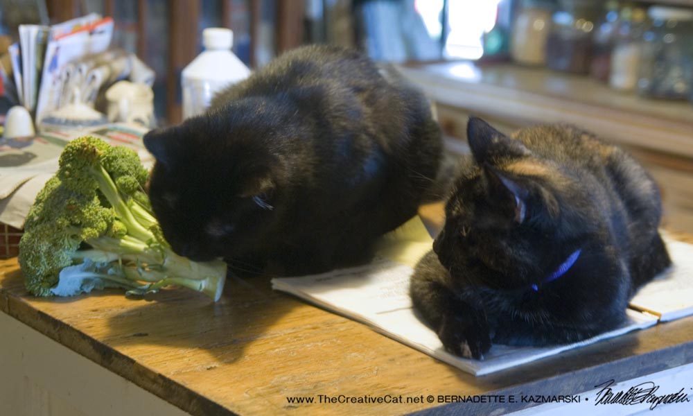Mewsette likes broccoli.