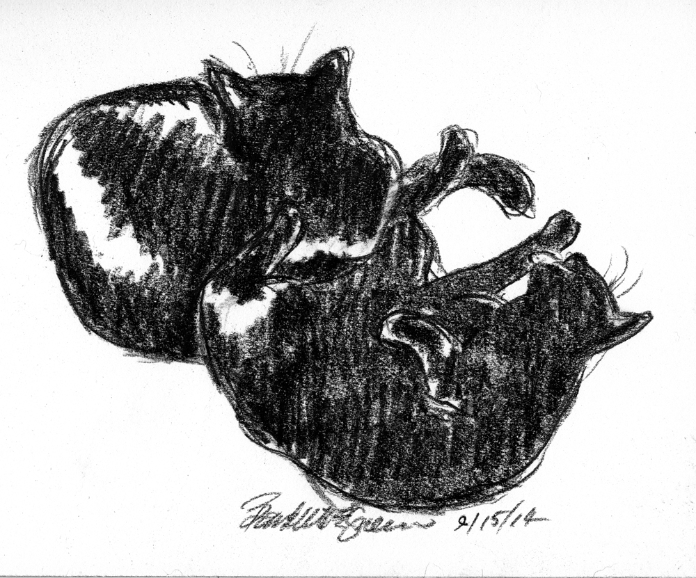 charcoal drawing of two cats