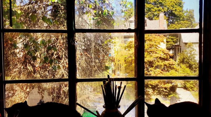cat silhouettes on the windowsill