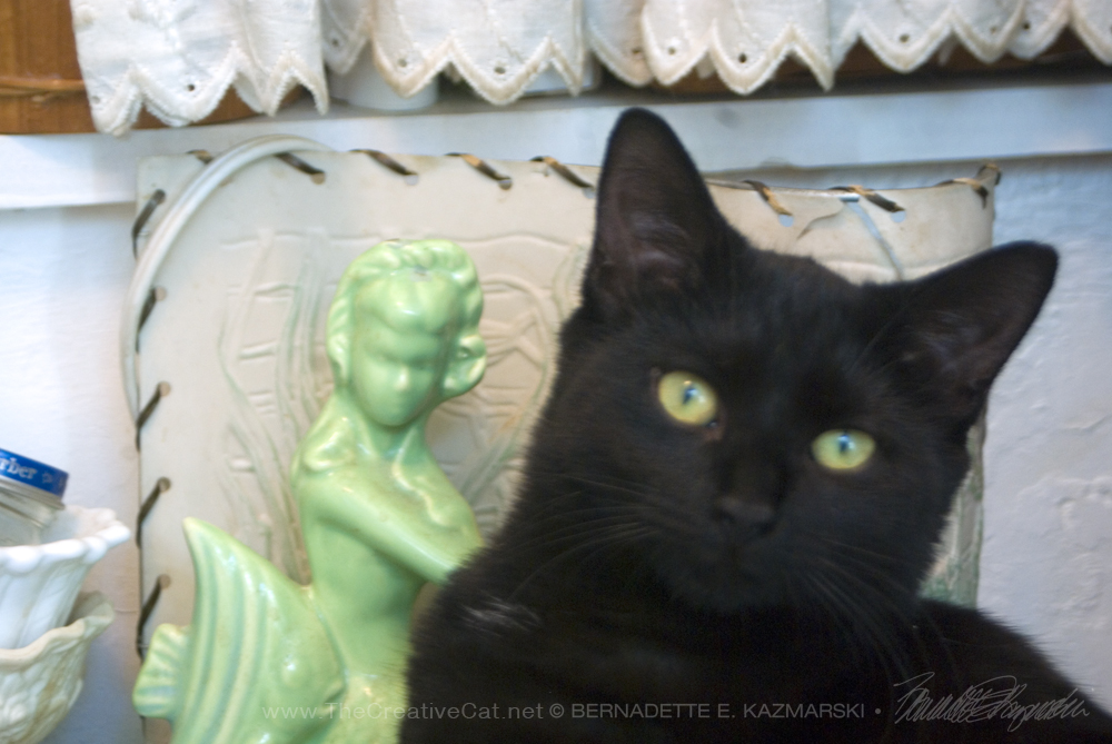 black cat with statue