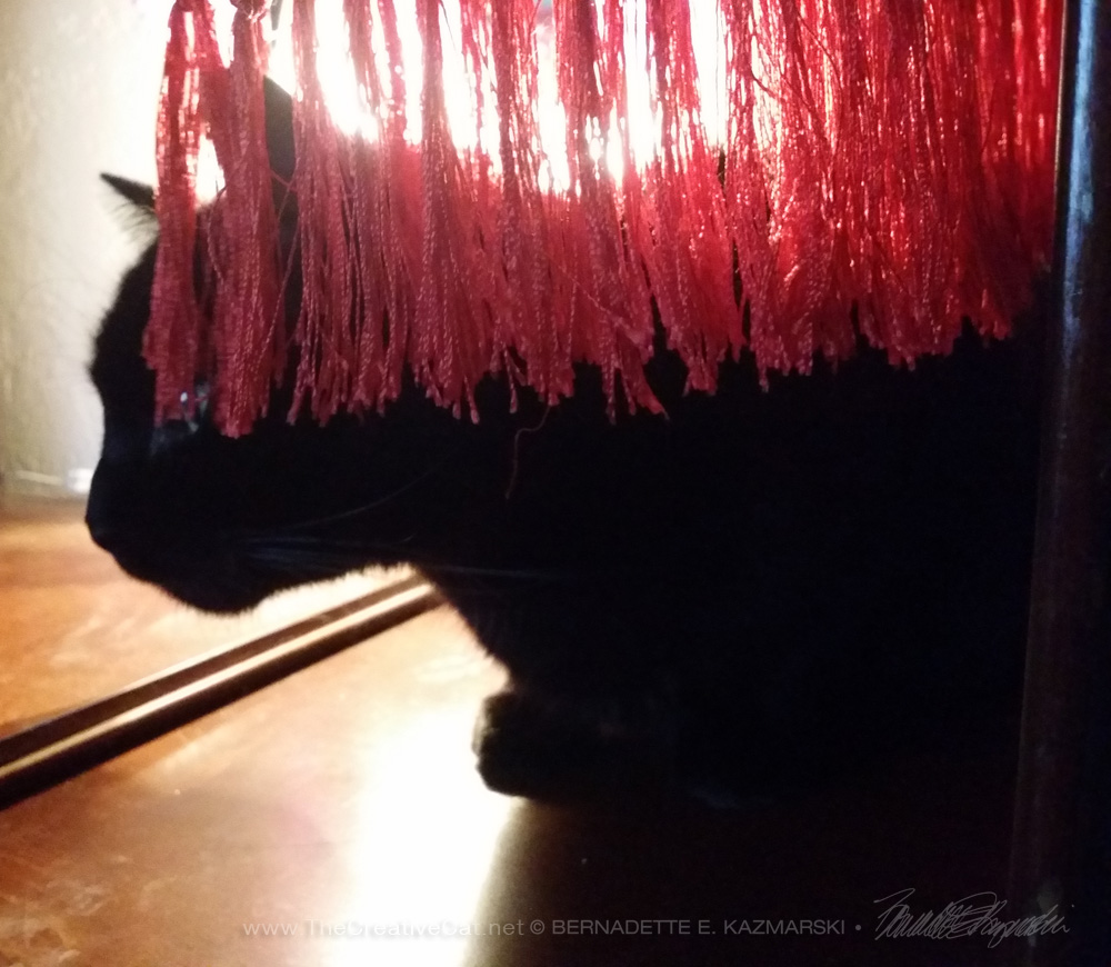 black cat with red fringe