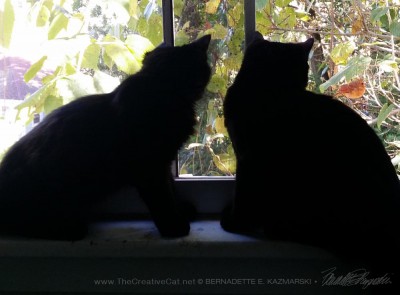 two black cat silhouettes