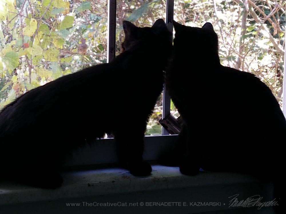 two black cat silhouettes