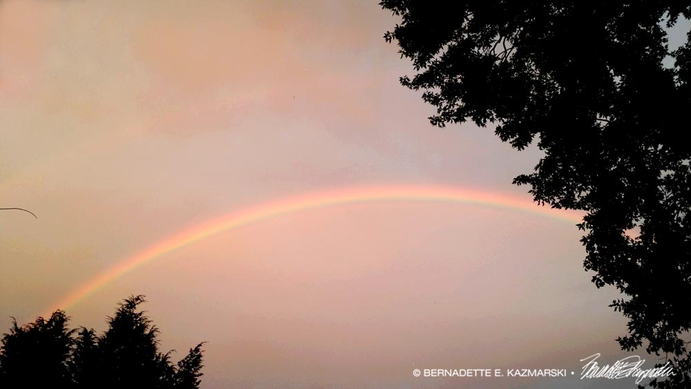 The rainbow Mimi and I saw on Saturday evening.