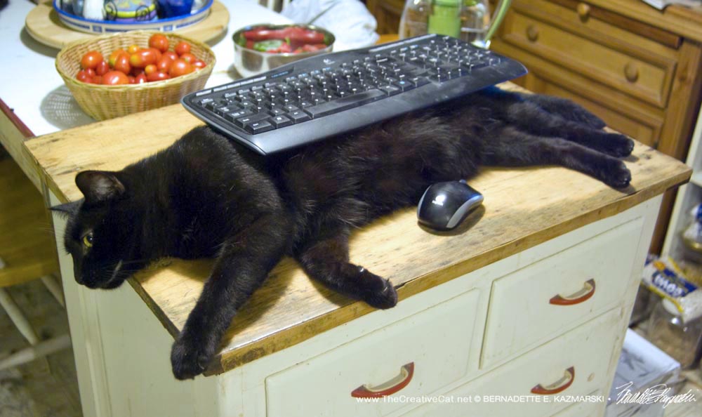 Unicat Keyboard Rest, black cat model.