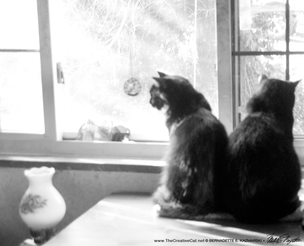 two at the window.