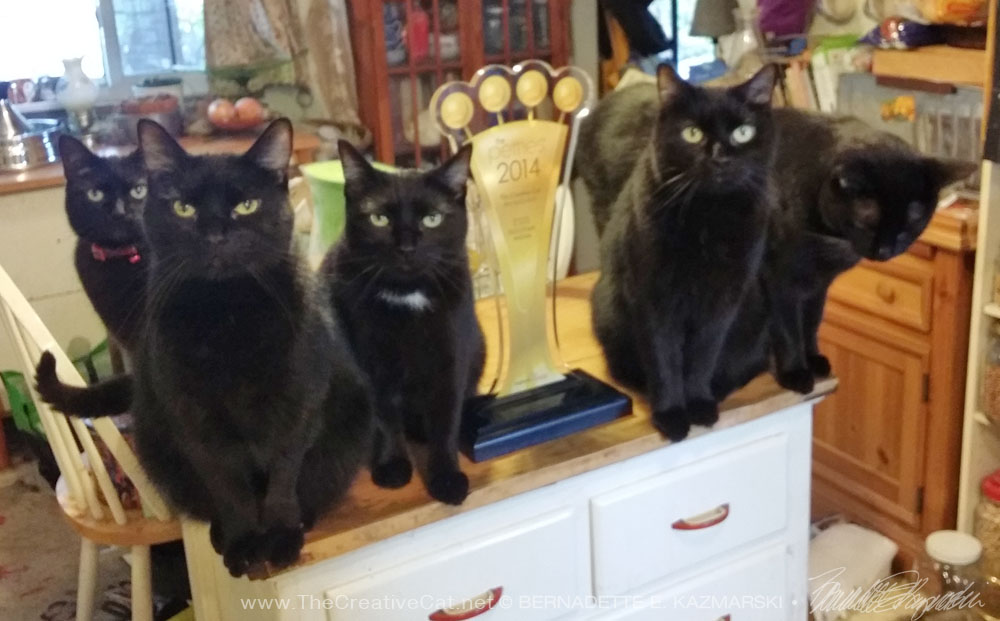 five black cats and petties trophy