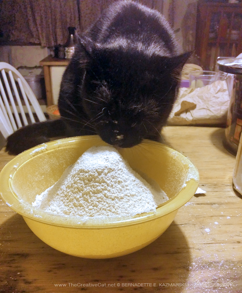 black cat with flour
