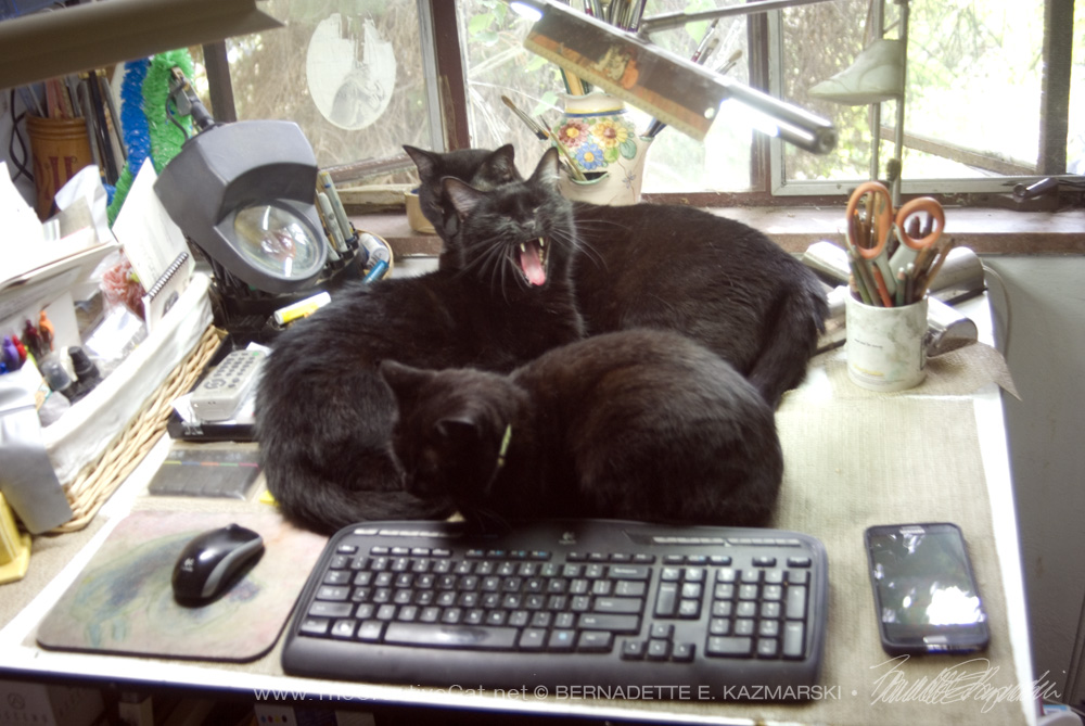 three black cats on drafting table