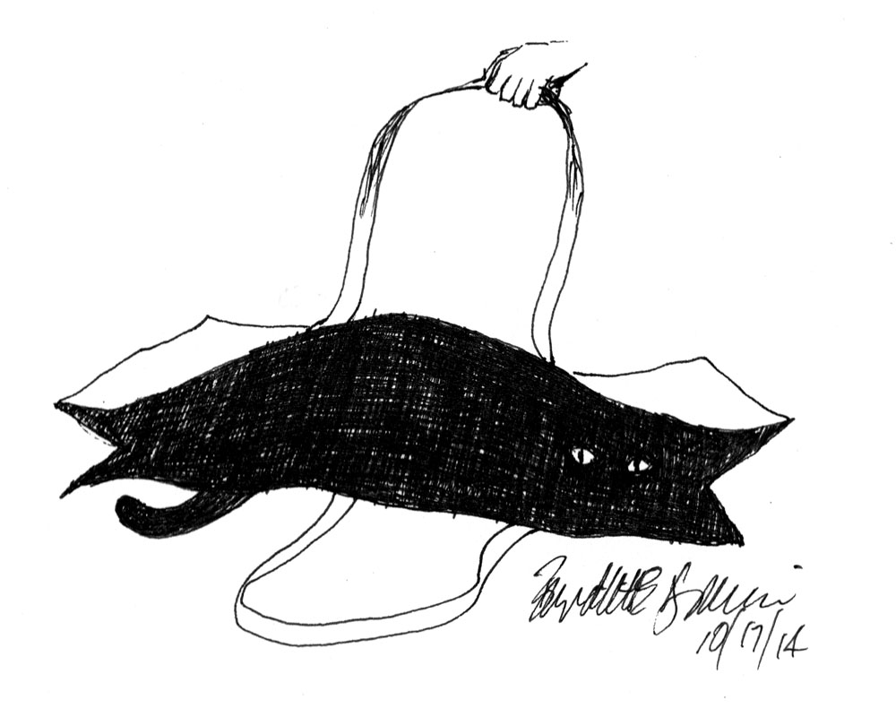 sketch of cat in bag