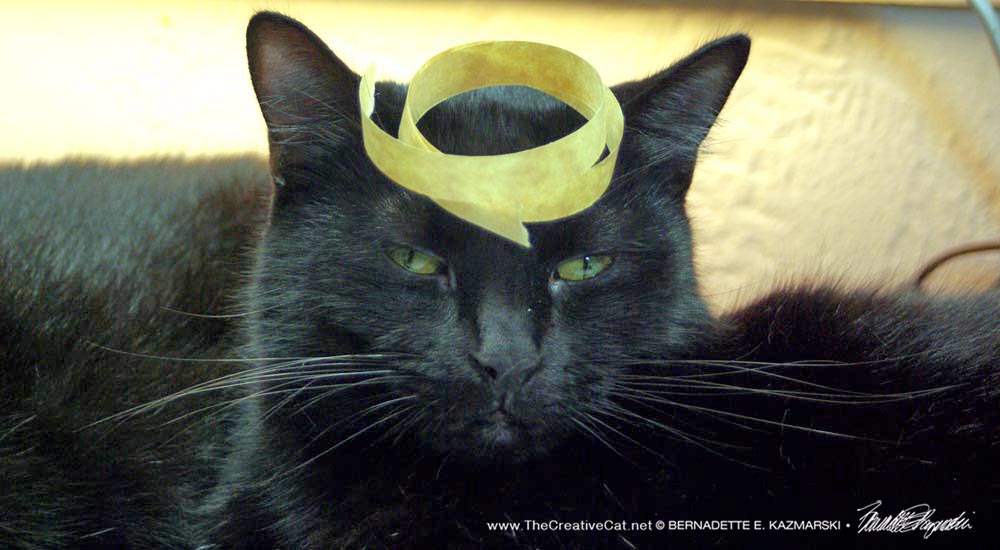 Mr. Sunshine with tape on his head.