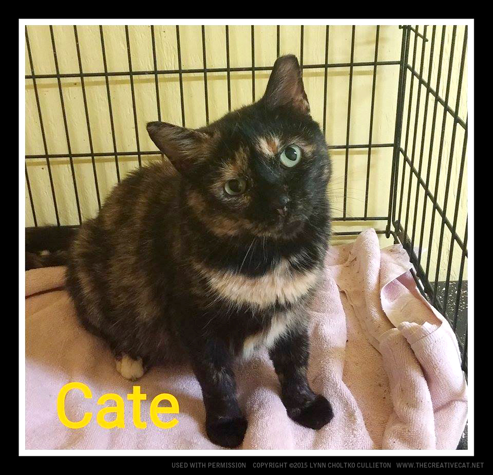 Cate is ready to go home with you!