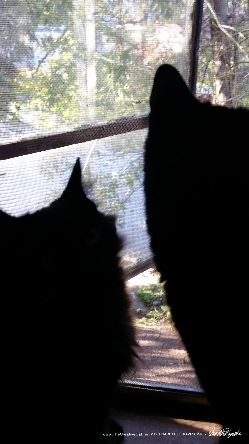 Alvina and Mewsette watch out the window. Mewsette sought her out to impart sisterly wisdom.