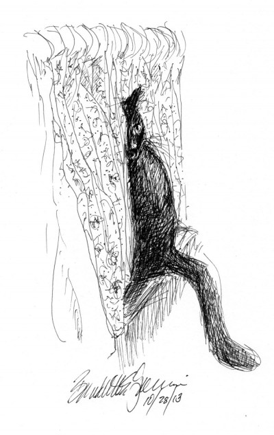ink sketch of cat with curtains