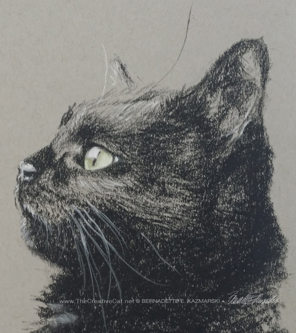 charcoal sketch of cat watching