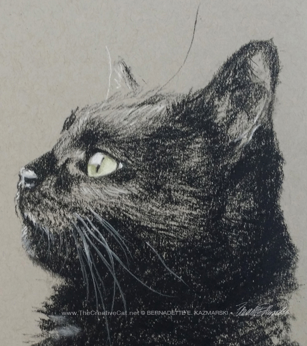 charcoal sketch of black cat