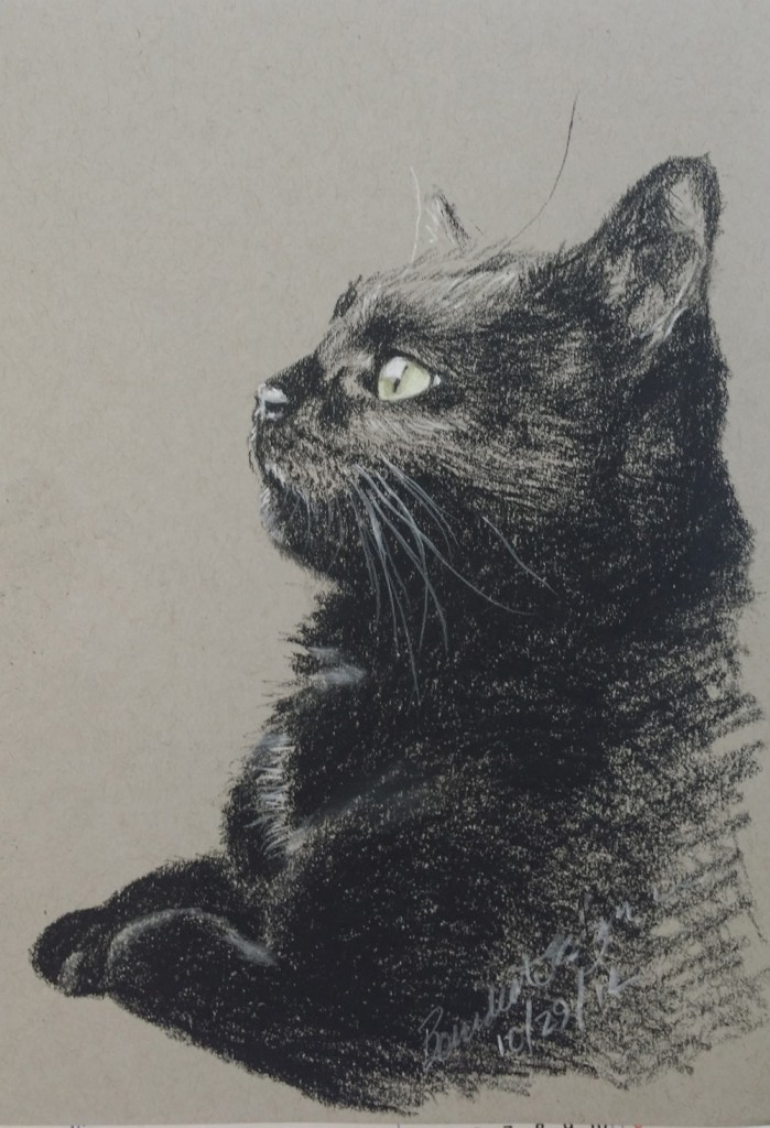 charcoal sketch of cat watching