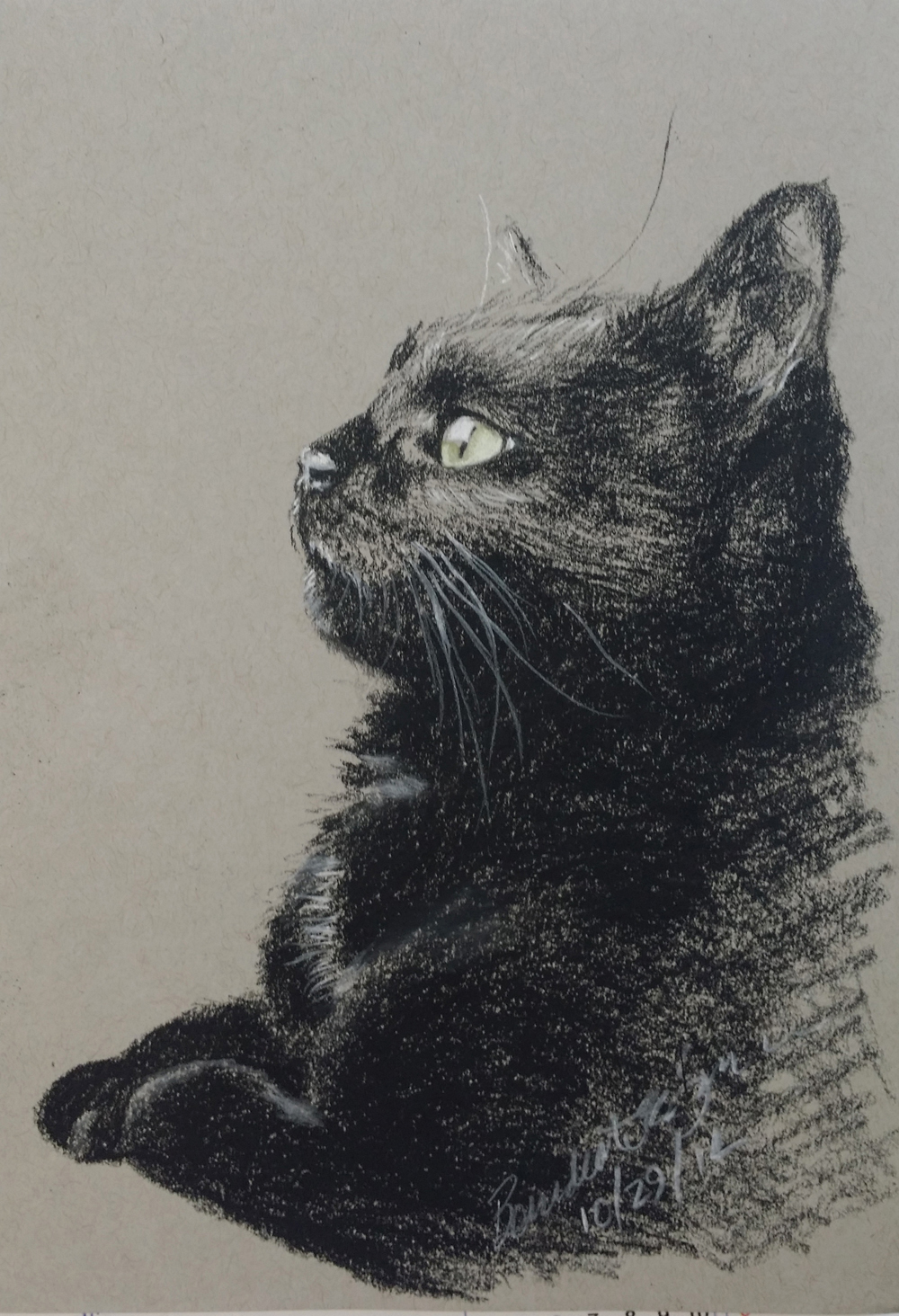 charcoal sketch of black cat