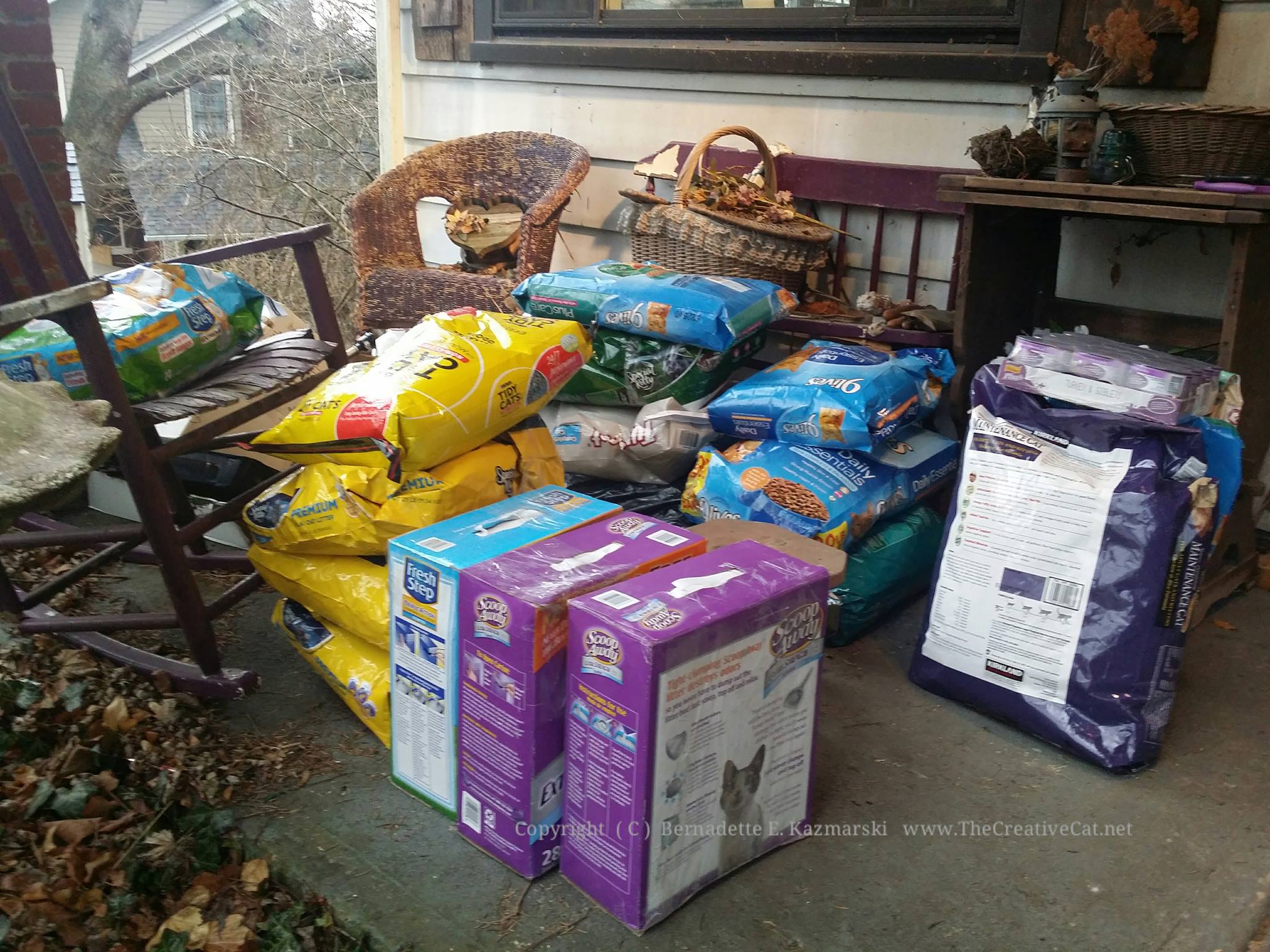 Donated dry food and litter.