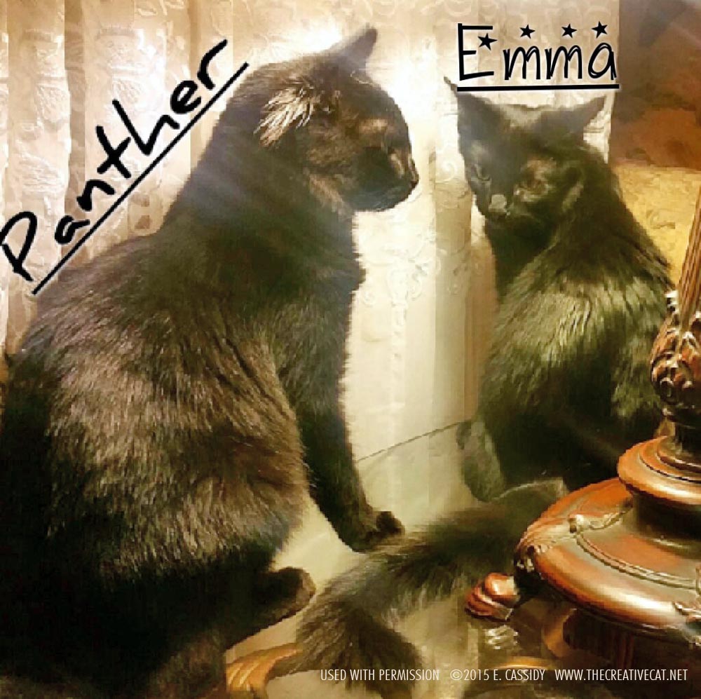 Panther and Emma looking regal under the lamp.