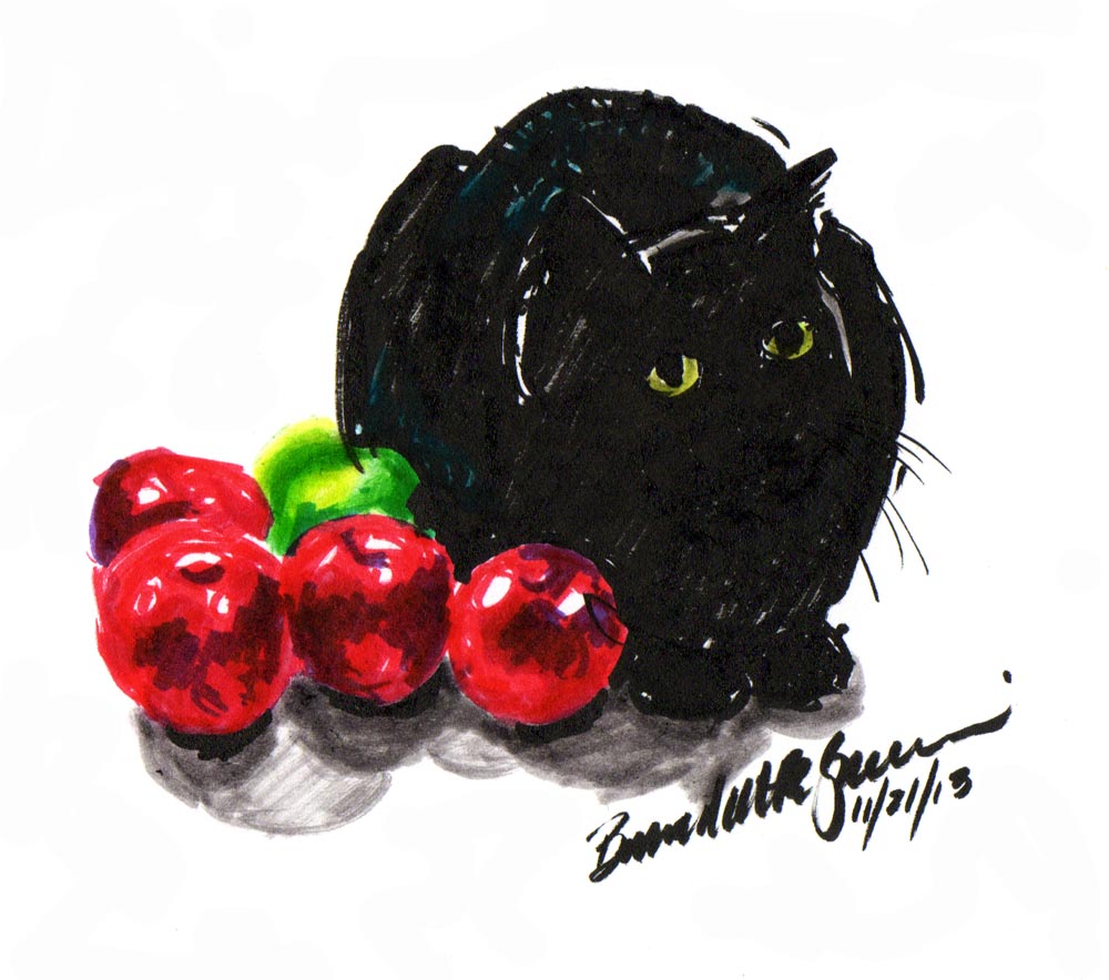 marker sketch of black cat with apples
