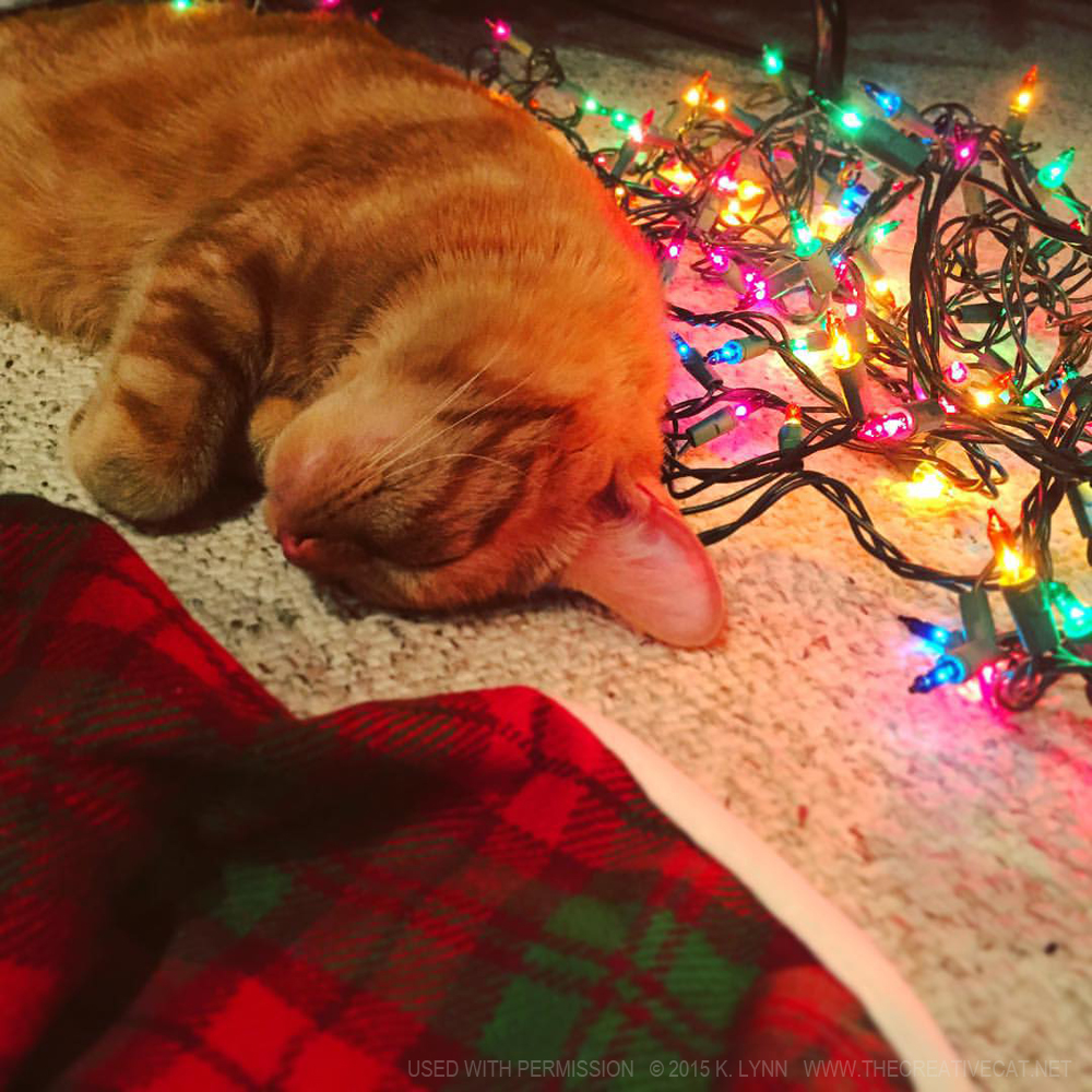 Finn has a nap with the lights.