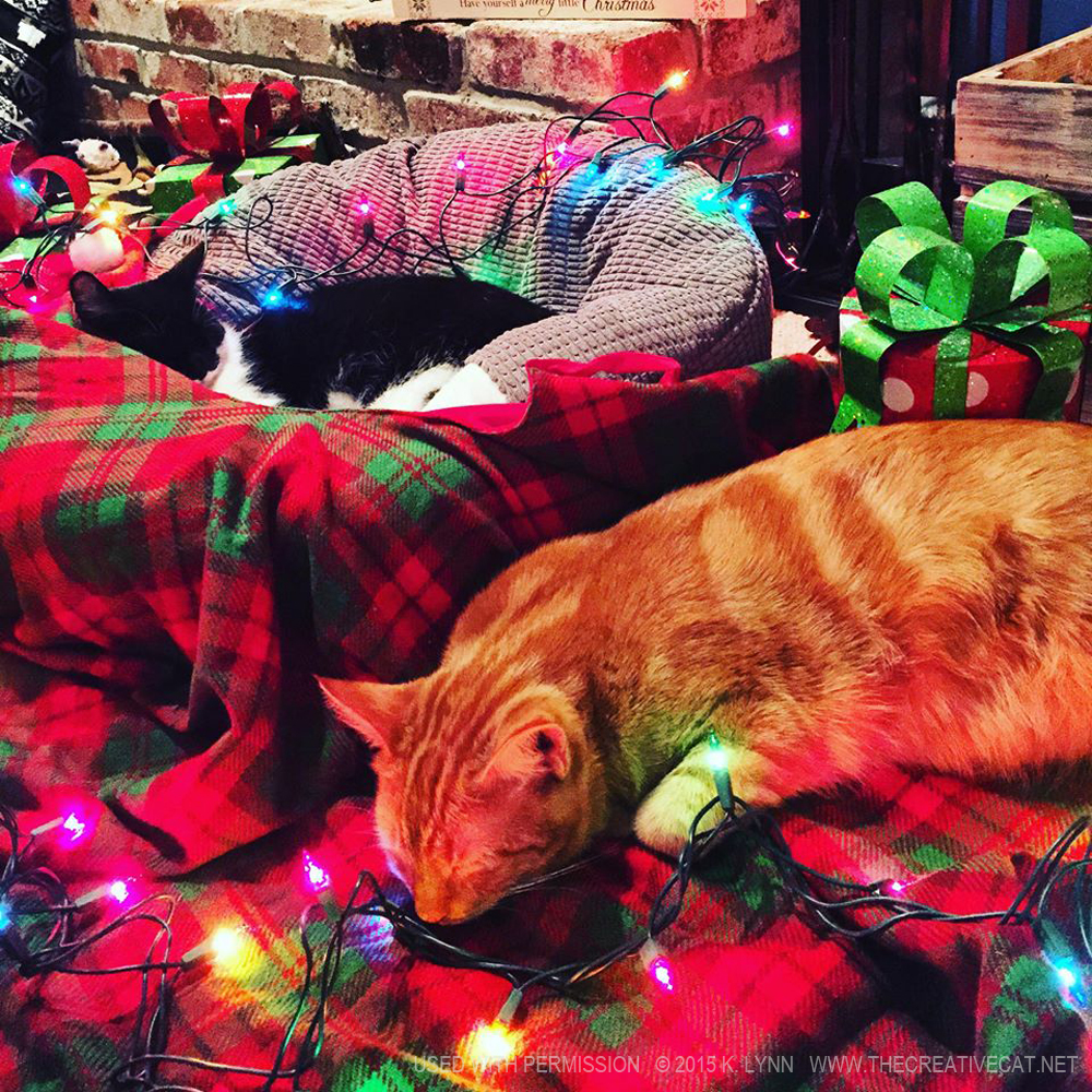Finn and Dinah enjoy helping to decorate.