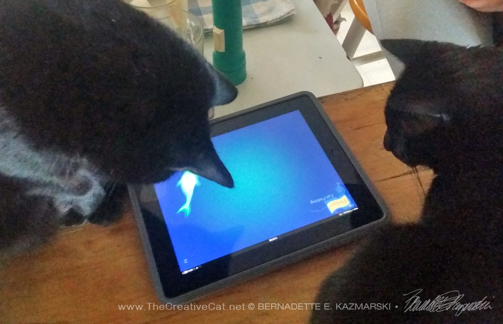 two black cats play computer fishing game Daily Cat Photo