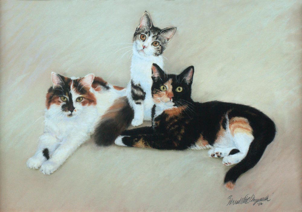 portrait of three cats