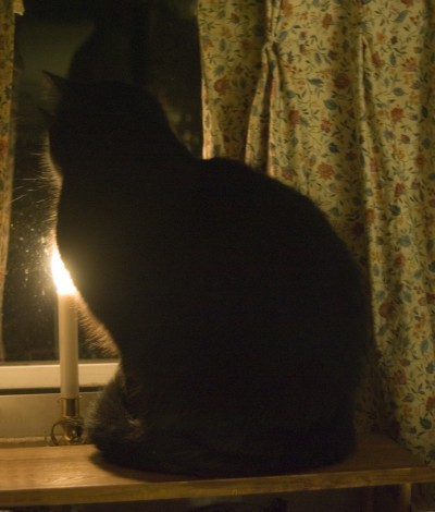 black cat with candle