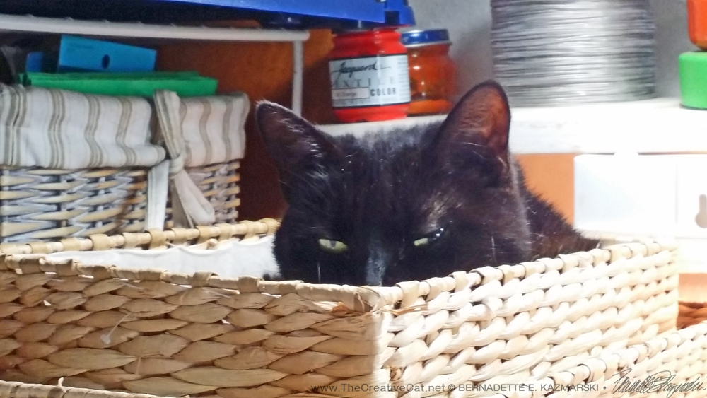 Mimi peeks out of the basket. black cat in basket