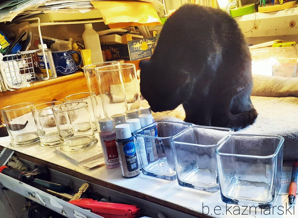 black cat with glass items