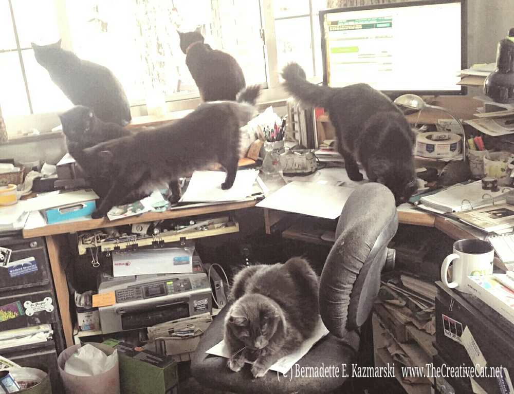 Desk Staff.