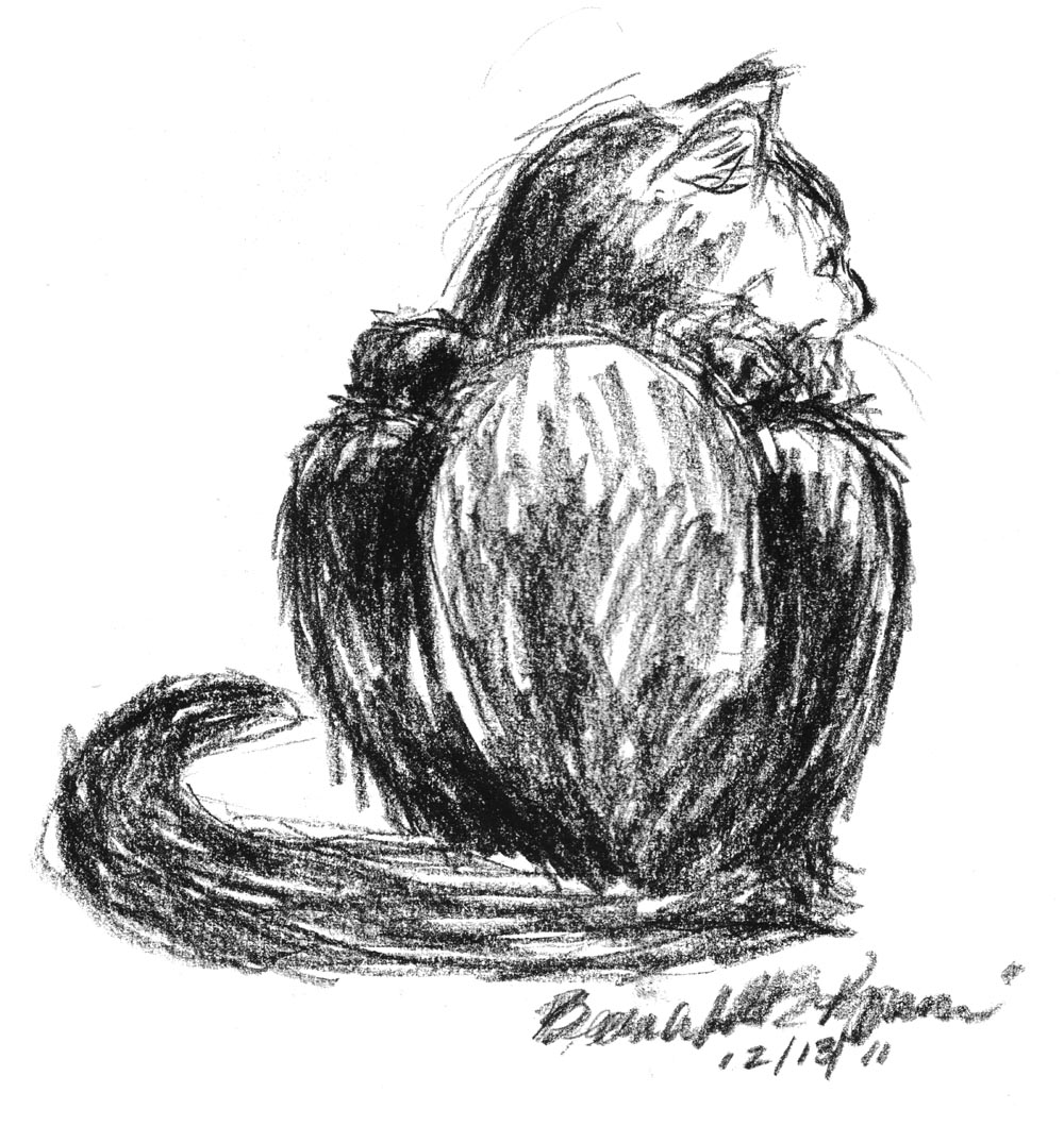 charcoal sketch of cat